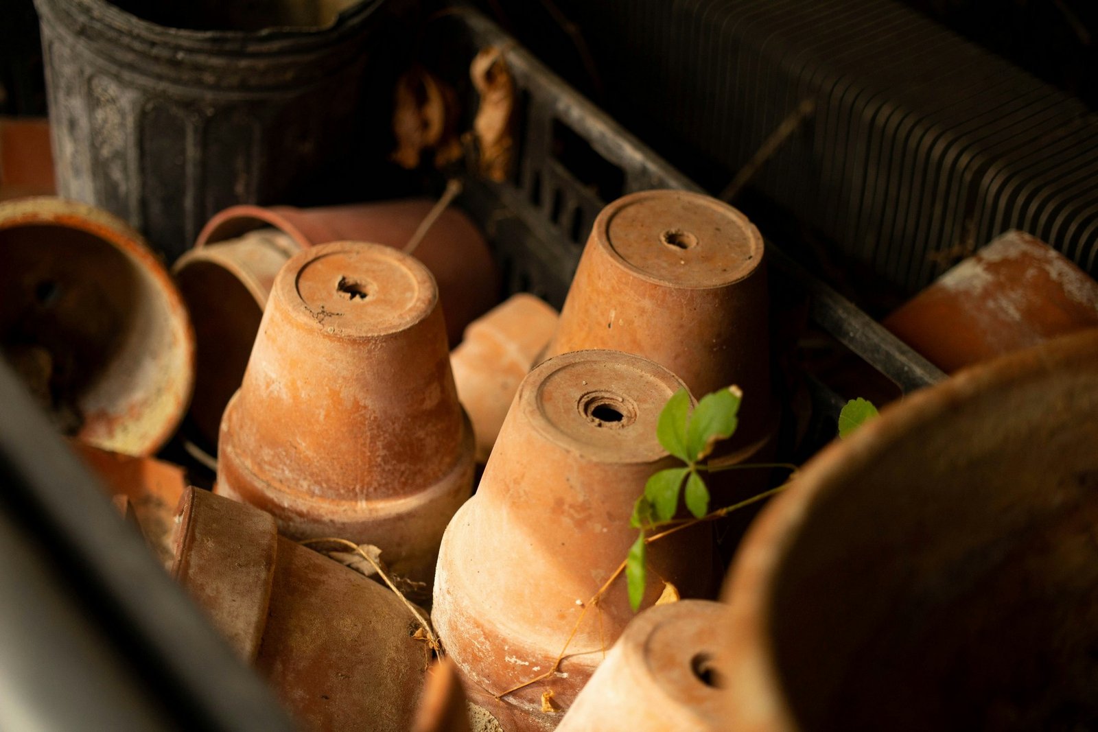 Tontöpfe im Garten – Reinigungsfrequenz im Überblick